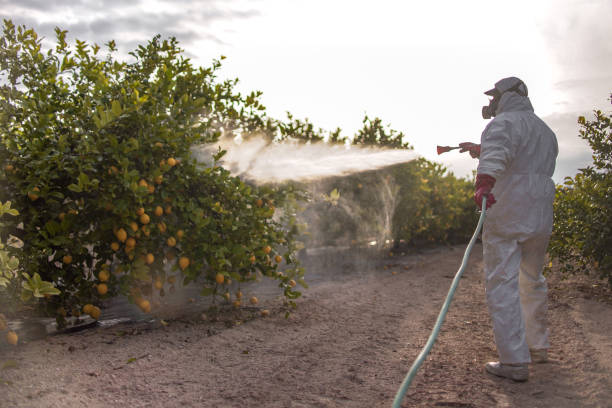 Best Pest Inspection Near Me  in Delcambre, LA