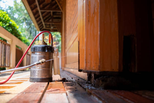 Best Exterminator Services  in Delcambre, LA